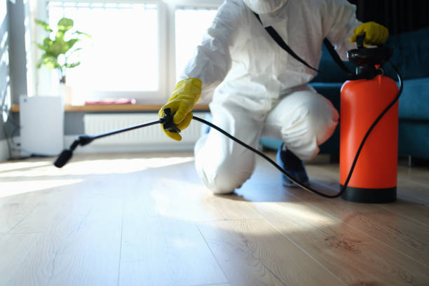 Trusted Sewage Cleanup service in Seymour, IN - Four Month Blood Cleanse